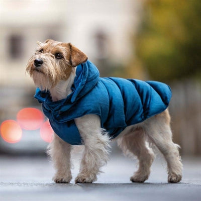 Honden kleding
